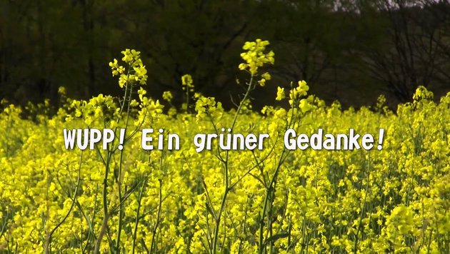 Kommunalwahl 2014 -Frankfurt (Oder) - Grüner Spot 3 - Kinder