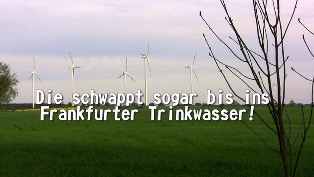 Kommunalwahl 2014 -Frankfurt (Oder) - Grüner Spot 2 - Umwelt
